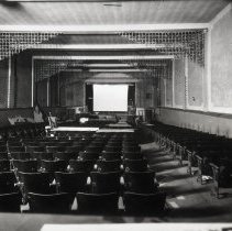 IN-Anderson-Starland-QNeg-negative-Q0017